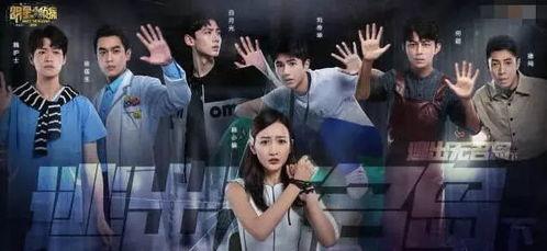 明星大侦探第四季免费观看完整版 赵露思直播